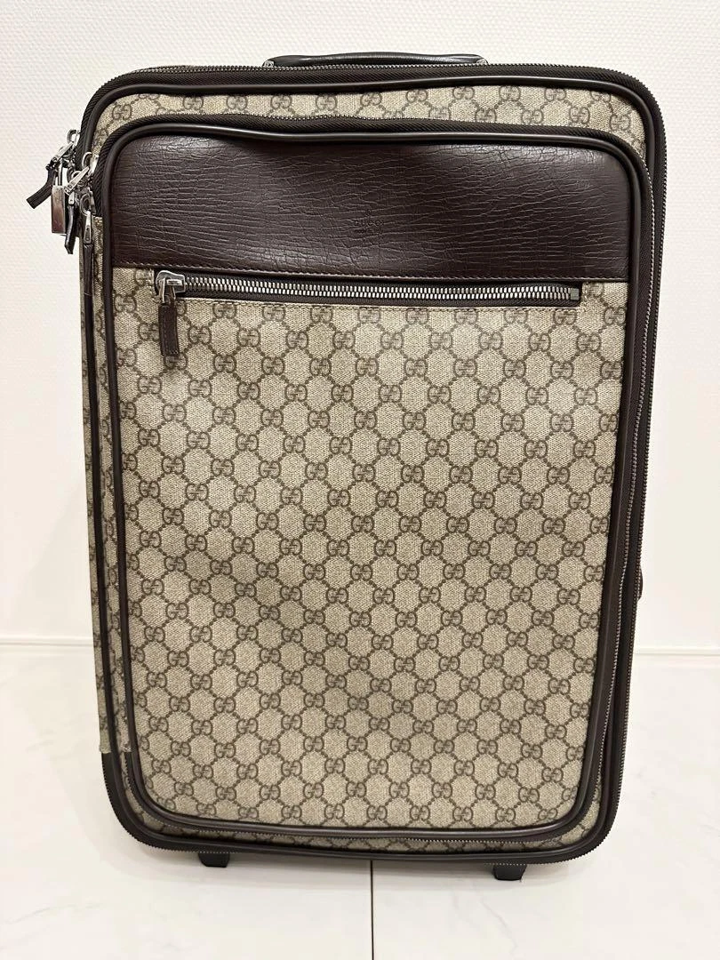 Gucci carry 2025 on bag