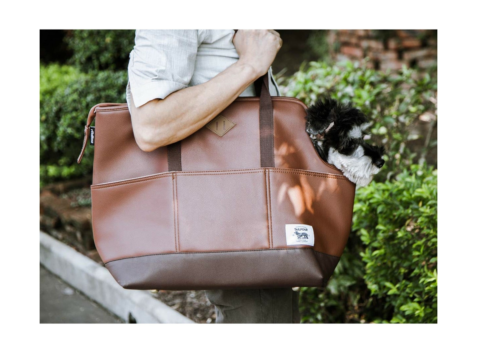 tailfour pet carrier