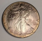 2004 Toned American Silver Eagle 1 oz .999 Fine ~ US Mint ASE