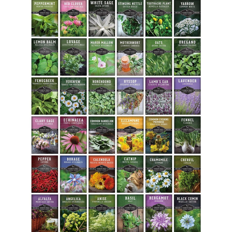 Ultimate Medicinal Herbs 36 Variety Pack 28000+ Herb Seeds for