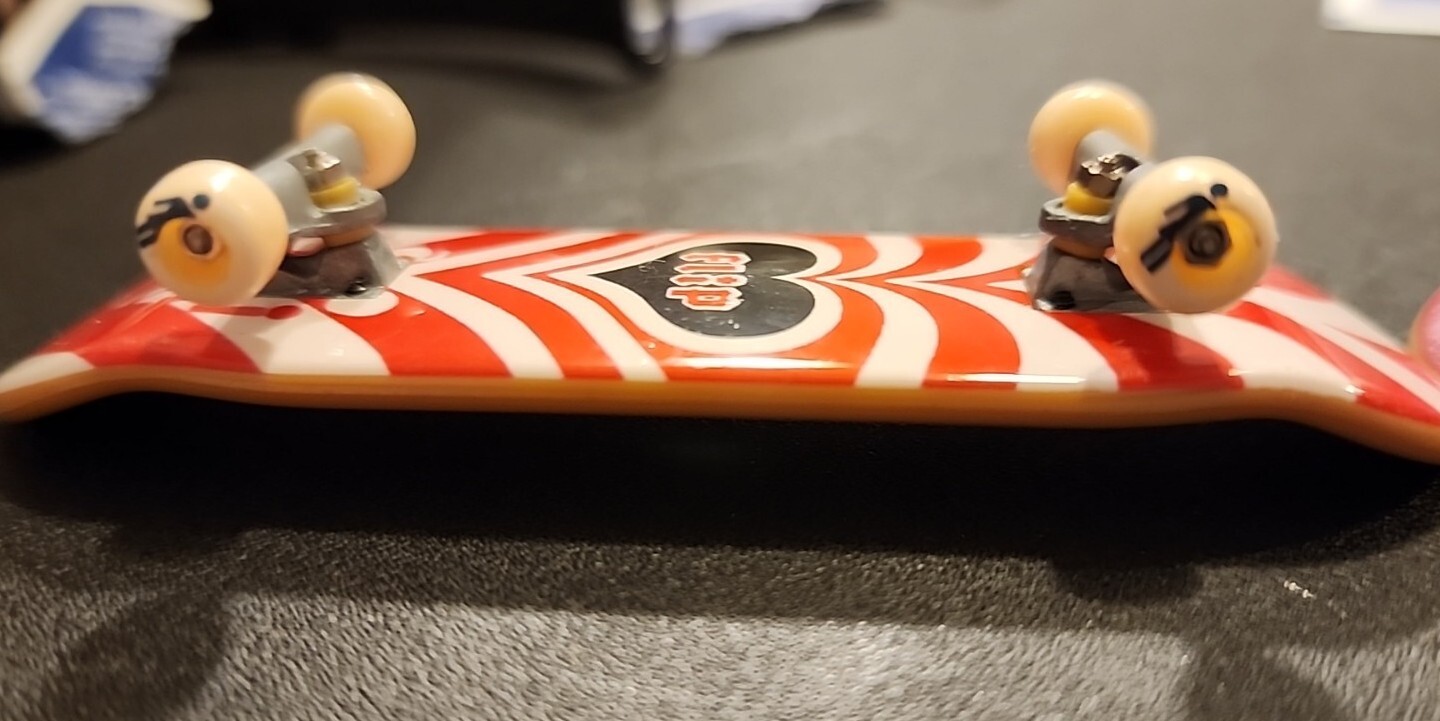 Picture 6 of 10
