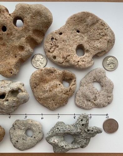 10 Natural Holey Beach Rocks Hag Fairy Stone Large 3/8" Hole Adder Mystical ❤️3L - Picture 9 of 17