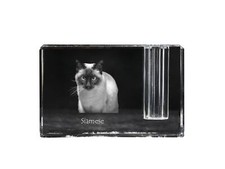 Siamese - Pen stand, crystal organiser with cat photo, unique desk decoration by