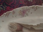 Rare Antique 3260 CARLSBAD AUSTRIA  FISH SET 1 PLATTER AND 11 Plates (12 pc set) — photo 7