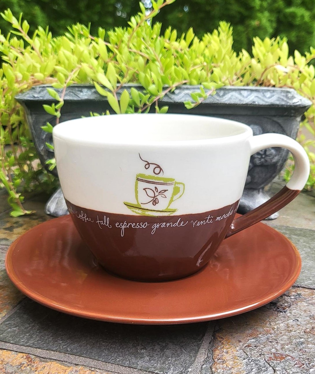 NEW Starbucks 2007 White & Brown Mug w/Saucer Cappuccino/Latte Cup Set Coffee