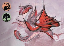Magic the Gathering Themen-Deck "Drachen" Deutsch #MtG  #Einsteiger #Gruul