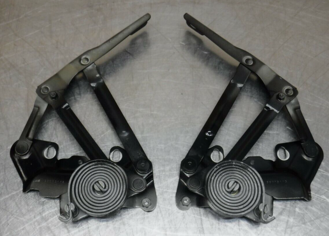 Dodge Ram Hood Springs & Hinges Pair Set - OEM Style 1994-2001 1500 2500 3500 - Red Metallic, Steel