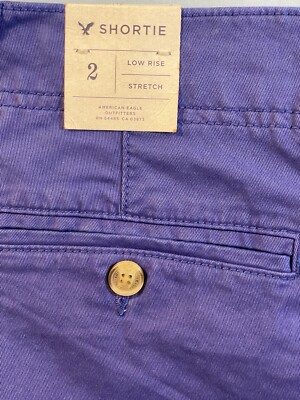 AMERICAN EAGLE OUTFITTERS Blue Shortie Shorts Flat Front Zip