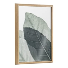 Kate and Laurel Blake Modern Green Leaf Botanical II Framed Printed Glass Wal...