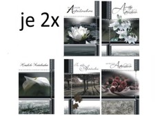 10 Trauerkarten Kondolenzkarten Beileidskarten jedes Motiv 2x mit Umschlag (V4)