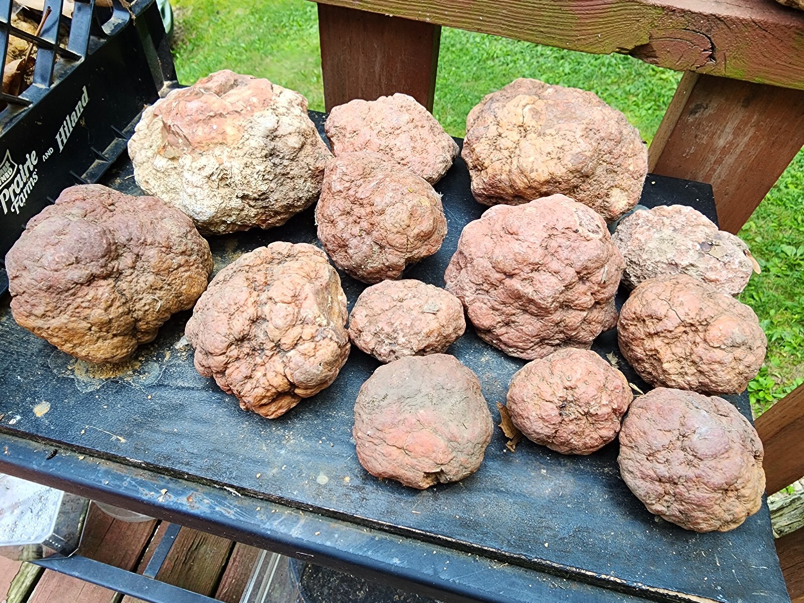 13 Whole Geodes Uncleaned Pink Red Geode rocks from Seymour, Indiana ...