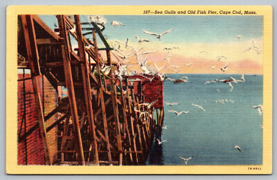 Sea Gulls and Old Fish Pier Cape Cod Vintage Postcard A10