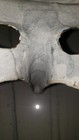 Bild 7 von 11