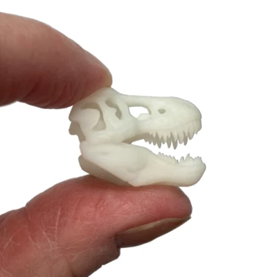 LITTLE THINGS OF INTEREST TYRANNOSAURUS REX SKULL 1 Pc in Miniature 1:12 Scale Jurassic Park Resin