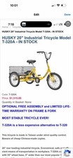 eBay Auction Picture