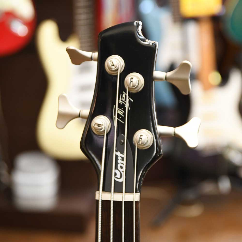 ★★★Cort TM stevens funk machine レア品　希少 Cort TM Stevens Funk Machine – Bass Pluckers