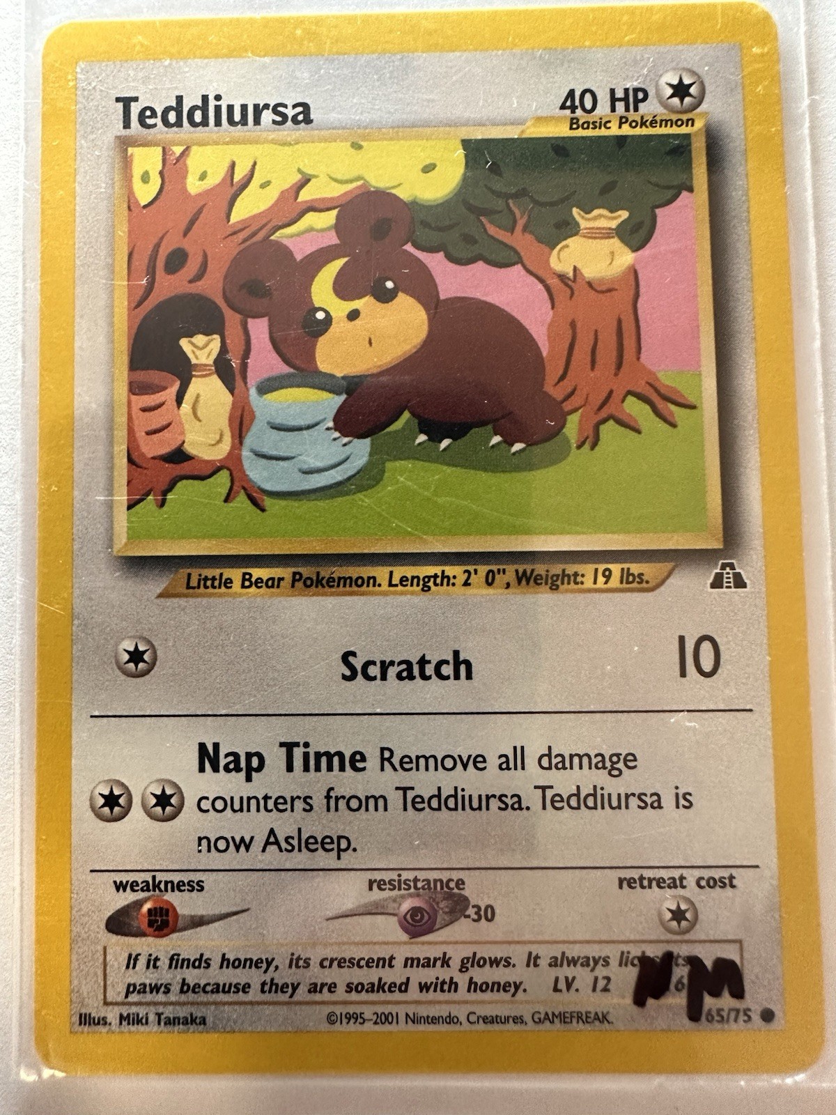 Teddiursa 65/75 Neo Discovery Regular