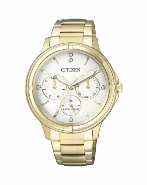 Citizen Eco-Drive Luminous Hands Wristwatches