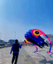 Hot 10sqm soft kite 3D Huge Soft Giant Trilobites Kite Outdoor Sport Easy to Fly
