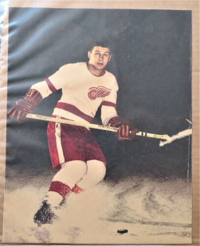 Detroit Red Wings Alex Delvecchio  Original vintage Color 8x10 photo - Picture 1 of 4