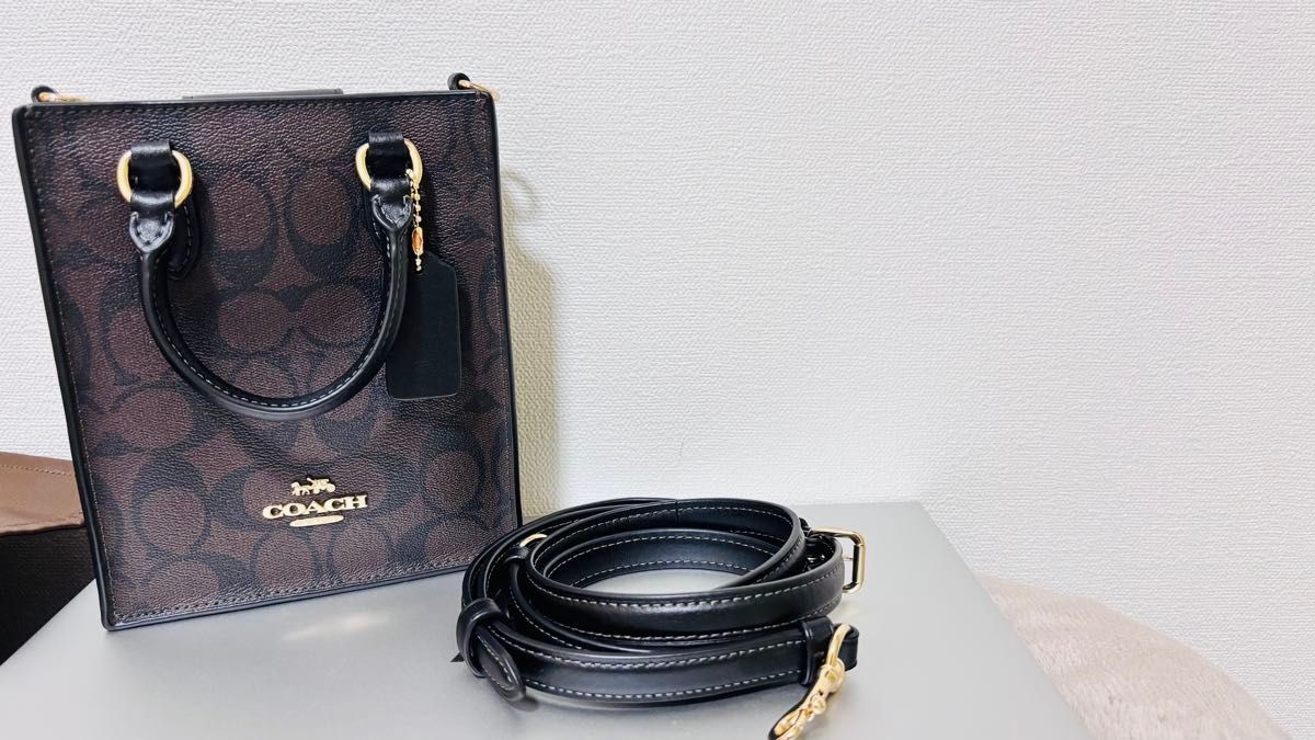 COACH Mini Tote Shoulder Bag in Signature Canvas with North South Design