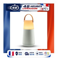 ION Audio Bright Max – Enceinte Bluetooth 360° Étanche avec Lumières