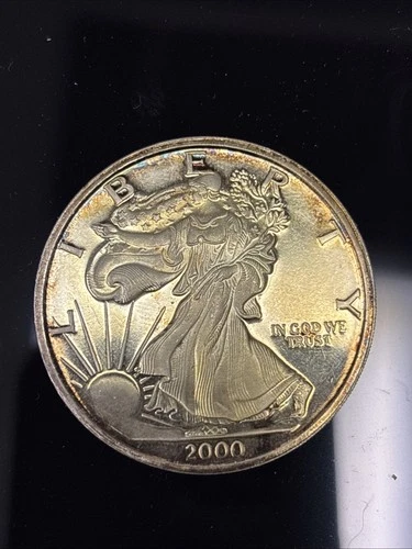 1 Troy Oz .999 Fine Silver Round The Dawn of a New Millennium 2000 Collectible