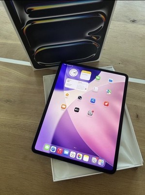 Apple iPad Pro 13 Zoll M4 Chip Space Grau 256GB WiFi + Cellular