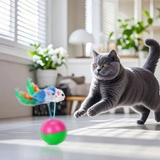 Interactive Cat Toys Cat Tumbler Toy Cat Feather Teaser Toys for Indoor Kitten