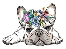 Sublimation Print Girlie French Bulldog Ready to Press Heat Transfer