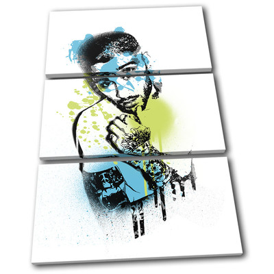 Zayn Malik 1D Pop Grunge Urban Musical TREBLE Leinwand Wand Kunst Bild drucken