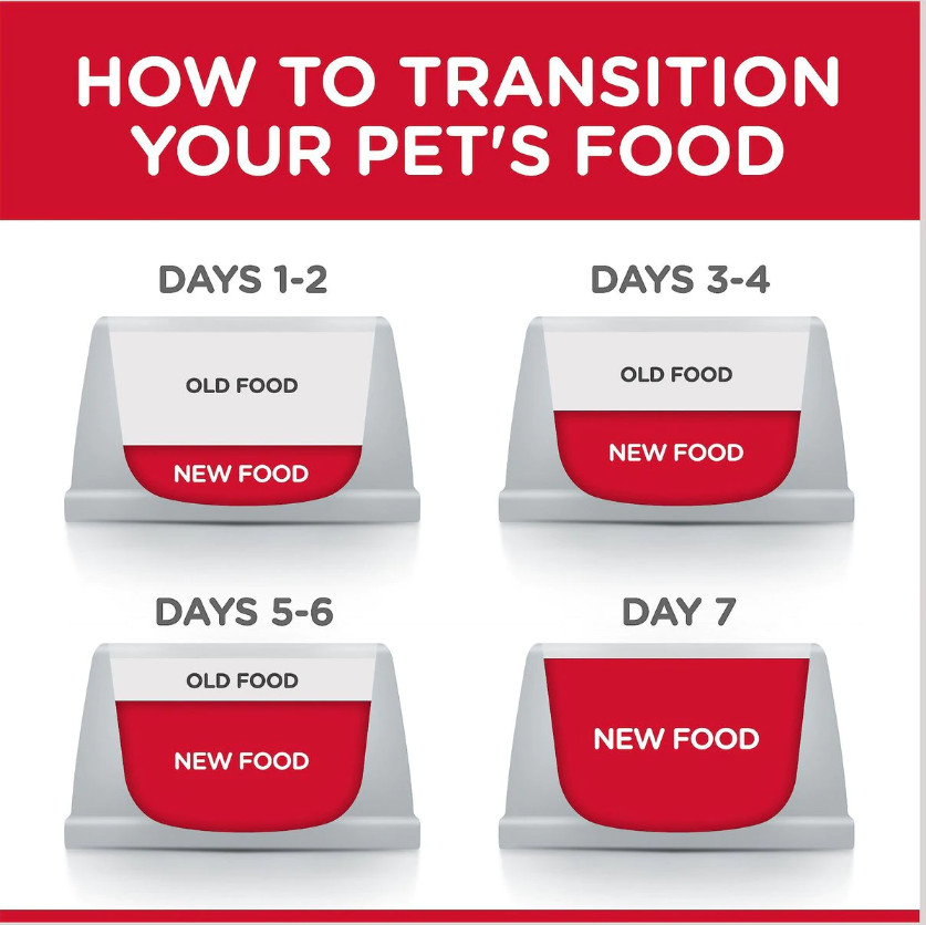 Hill's Science Diet Senior Adult 7+ Small Bites Chicken Meal Dry Dog Food,33lb