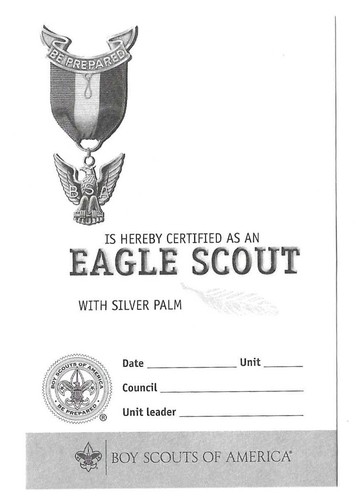 SCOUTS BSA EAGLE RANK AWARD SILVER PALM PIN NEW CURRENT WITH CARD - Picture 4 of 6