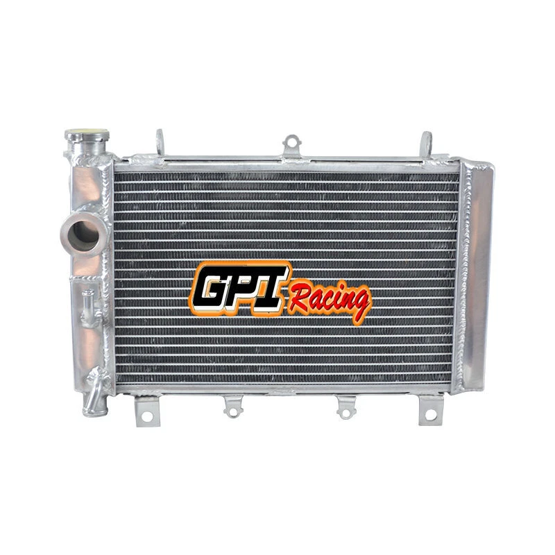 Radiador de aleación de aluminio para Triumph TT 600 TT600 2000-2003 2001 2002  Foto 2 de 4