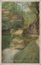 Whiteborder Vintage Postcard