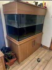 Fish Tank Aquarium 650 litres