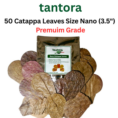 Tantora Catappa Leaves/Indian Almond Leave-IAL 50 size Nano(3.5'')  Betta, Shrimp