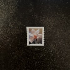  3464 - 2000 34c Flowers: Cymbidium Orchid