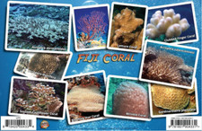 Franko Maps Fiji Coral ID Card