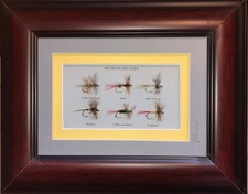 6 Framed and Mounted Trout Dry Flies