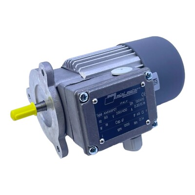 Mini Motor AM145P2T Electric Motor 230/400V 50Hz 0.32/0.18A 18W IP65 Motor