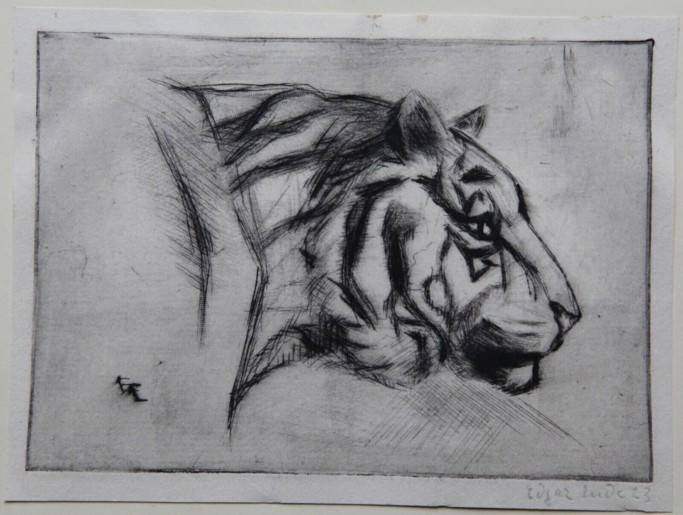 Edgar Ende. Kopf eines Tigers. Signiert. 1923.