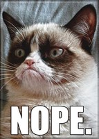 Grumpy Cat - Nope - Refrigerator Magnet, New, Free Shipping on sale Grumpy Cat - Nope - Refrigerator Magnet, New, Free Shipping on sale