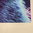 Bild 4 von 4