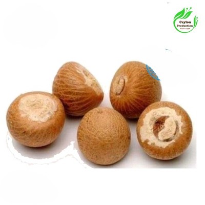 Organic Areca Nut Whole Dried Natural Betel Nut Premium Herbal Seed