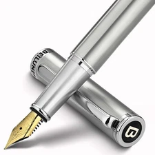 Luxury Fountain Pen Set, Solid 24K Gilded Fine Nib, Silver Stainless Steel Bo...