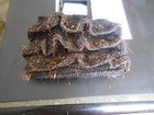 Foto 2 di 4