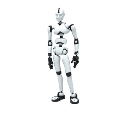 Stickybones - The Insanely Poseable Art & Animation Drawing Figure 
