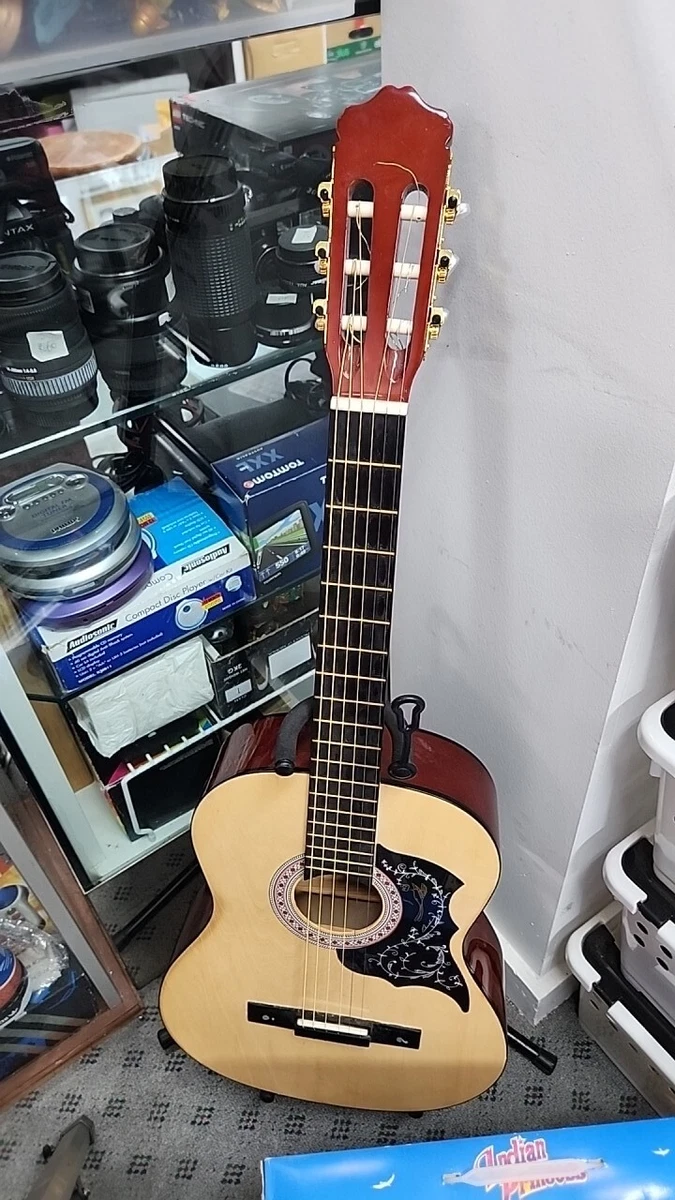 Livingstone acoustic guitar price deals