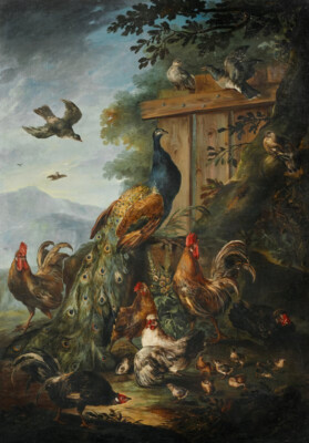 oil painting handpainted on canvas- A peacock, cocks, hens and other birds
